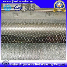 Zinc galvanizado / PVC cubierta de malla de pollo malla